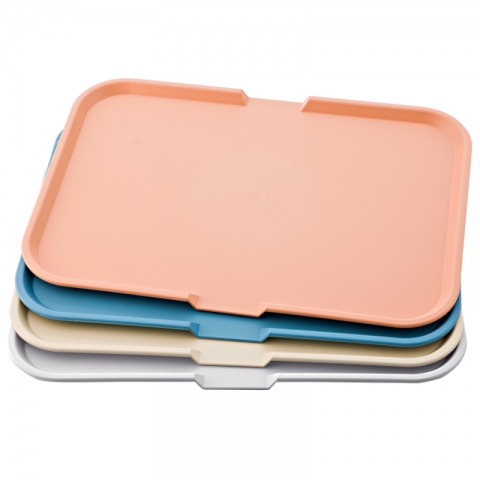 Bandeja Autoservicio Hostelería