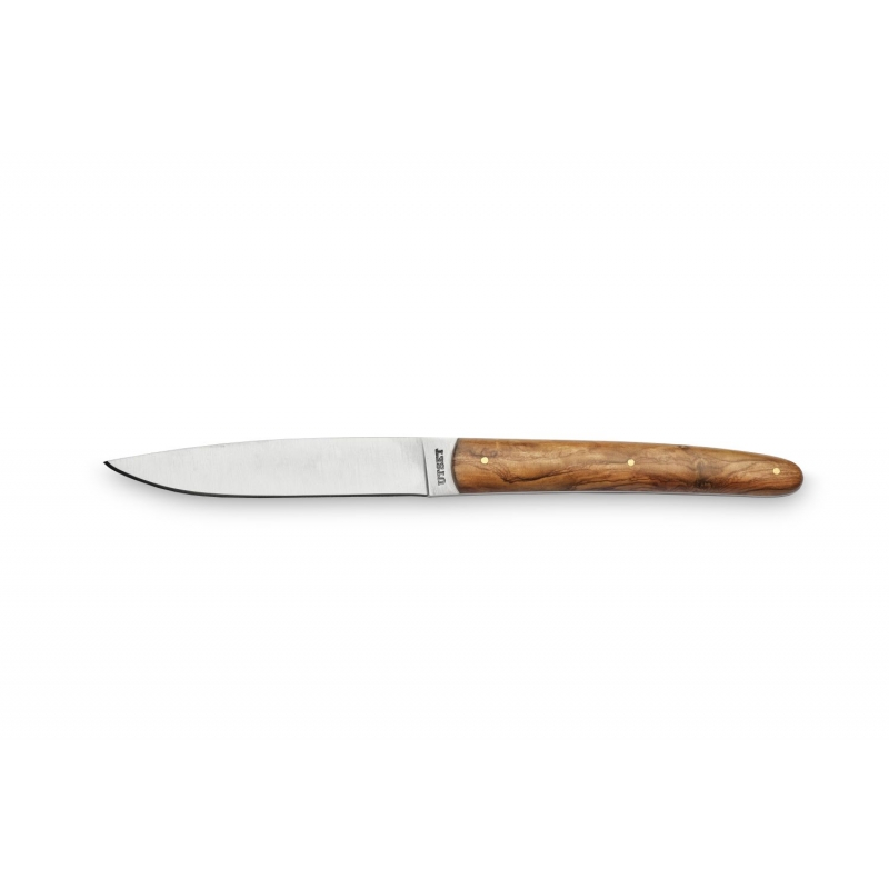 CUCHILLO CHULETERO PROFESIONAL CUCHILLO CHULETERO PROFESIONAL